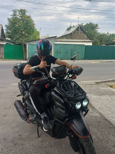 танк скутер цена: Скутер танк 150куб беннали продам или обменяю на другой скутер или