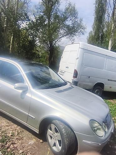 авто химии: Mercedes-Benz E-Class: 2003 г., 3.2 л, Автомат, Бензин, Седан — 1