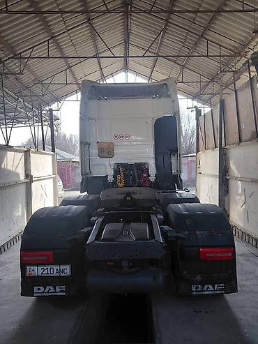 Тягачи: Тягач, DAF, 2017 г., Тентованный — 8