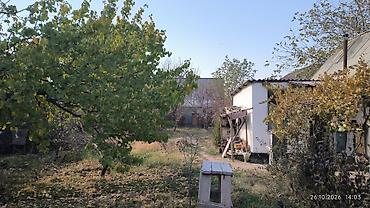 участки: 3 комнаты, 50 м², 8 соток, Газ, Электричество, Канализация — 5