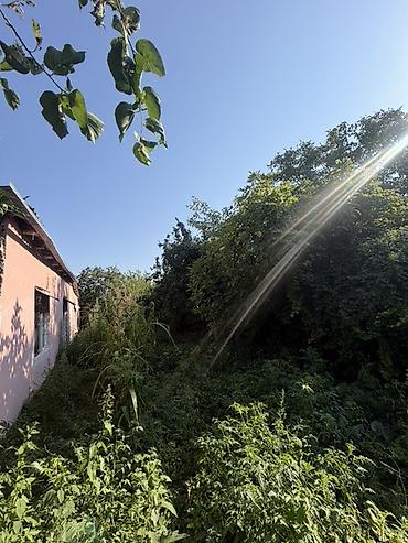Torpaq sahələrinin satışı: 25 sot, Tikinti, Mülkiyyətçi, Kupça (Çıxarış) — 24