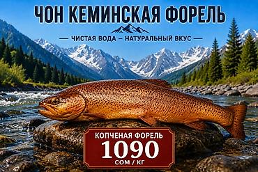 форель мольки: Чон-Кеминская форель — чистая вода, натуральный вкус. Виды и цены: - — 2