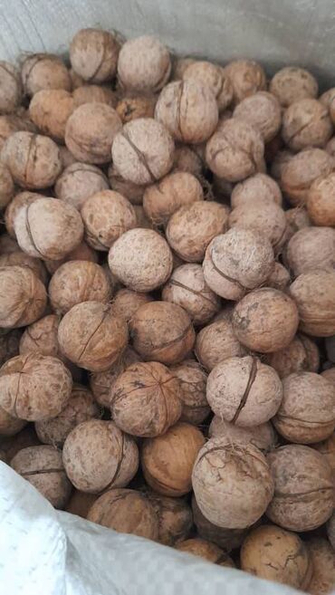 Сухофрукты, орехи, снеки: Грецкий орех продам вкусные домашние не кислые, средней жесткости