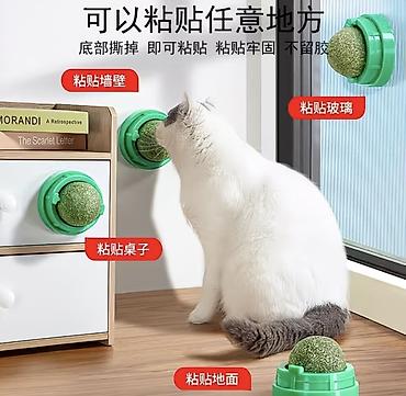 мышка ош: Лизунка-игрушка для кошек с кошачьей мятой/актинидией (catnip ball) на — 1