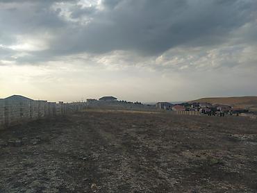 Torpaq sahələrinin satışı: 12 sot, Kupça (Çıxarış) — 10