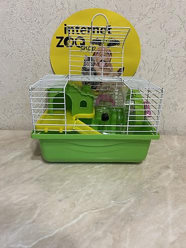 Зоотовары: У нас большой выбор клеток для кроликов, ежей, морских — 18