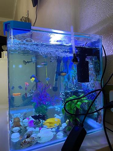 akvarium filterleri: Hazır akvarium.25-30 — 4