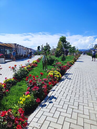 Иссык-Куль 2025: Коттедж, Палм Бич ЦО Palm Beach, Чок-Тал, Детская площадка, Парковка, стоянка, Охраняемая территория — 25