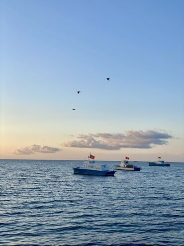 Посуточная аренда домов: Гостевой дом/коттедж для отдыха. Зал студия 3 спальных комнат 2 сан at lalafo.kg — 6 Посуточная аренда домов: Гостевой дом/коттедж для отдыха. Зал студия 3 спальных комнат 2 сан — 6