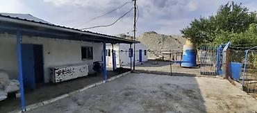 Kommersiya daşınmaz əmlakının satışı: Ferma/Təsərrüfat sahəsi - Tamamilə hasarlanmış geniş həyət, metal tor — 12