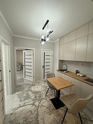 centr park: 2 комнаты, 45 м², Юнусалиева/Суванбердиева Элитка, 9 этаж, Евроремонт — 7