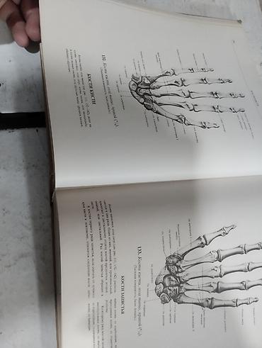 кники: Атлас анатомии человека, Р.Д. Синельников — комплект из 3 томов — 3