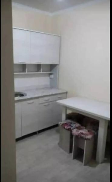 22 м², 1 комната, Бишкек Парк ТРЦ, Без животных