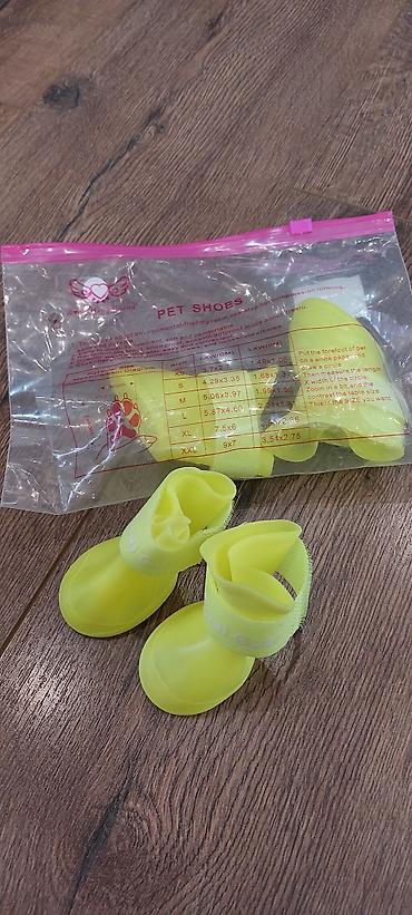 mops it: It uçun ayaqqabı 
 (M razmer) 
 Təzə — 3