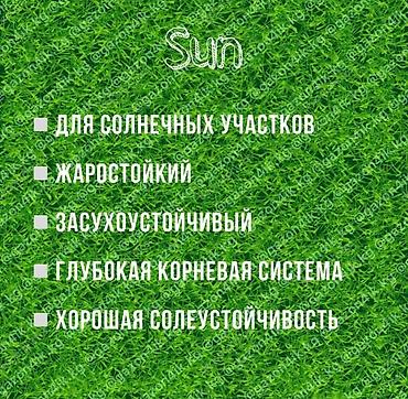 Газон: Семена европейского газона DLF (Дания) по оптовым ценам! ✅В наличии — 15