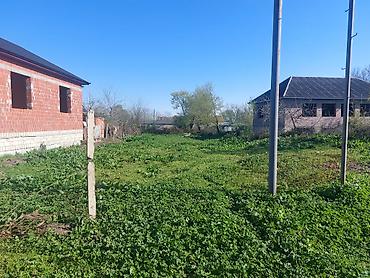 celilabad: Tikinti, Kupça (Çıxarış), Bələdiyyə — 2