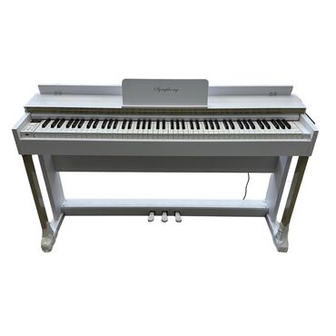 Kontrollerlər: Piano, Rəqəmsal, Yeni