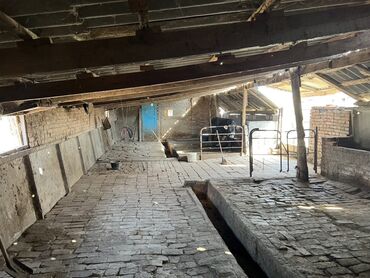 Продажа домов: Дом, 180 м², 4 комнаты, Собственник, Дизайнерский ремонт — 19