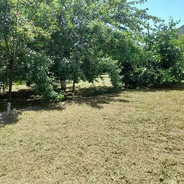 Günlük kirayə evlər: 250 kv. m, 5 otaqlı, Su, Kanalizasiya, Artezian quyusu -da lalafo.az — 21 Günlük kirayə evlər: 250 kv. m, 5 otaqlı, Su, Kanalizasiya, Artezian quyusu — 21