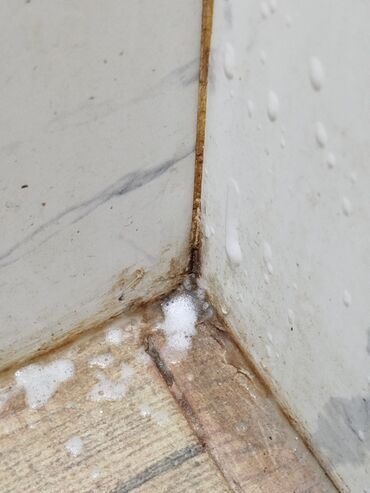 Уборка помещений: Уборка помещений, | Генеральная уборка, | Квартиры at lalafo.kg — 8 Уборка помещений: Уборка помещений, | Генеральная уборка, | Квартиры — 8