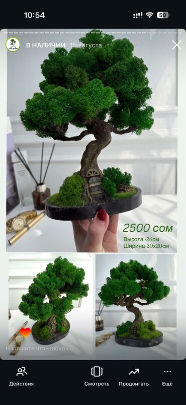 Декоративные цветы: В переводе с японского Бонсай означает «дерево, выращенное в блюде» at lalafo.kg — 16 Декоративные цветы: В переводе с японского Бонсай означает «дерево, выращенное в блюде» — 16