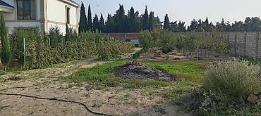 12 sot, Kənd təsərrüfatı, Kupça (Çıxarış)
