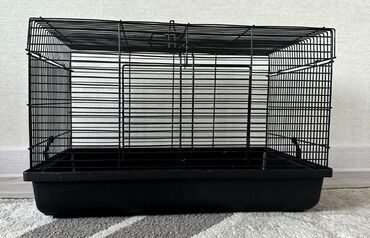 Зоотовары: Клетки для кроликов, морских свинок, ежей, попугаев, хомяков, крыс и — 7