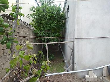Həyət evləri və villaların satışı: 3 otaqlı, 110 kv. m, Kredit yoxdur, Yeni təmirli — 5