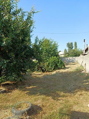 Недвижимость: Калыс ордо Частный дом с участком - Кирпичный забор по периметру — 6