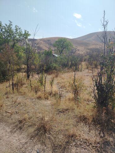 Продажа участков: 5 соток, Для строительства, Красная книга, Договор купли-продажи — 6