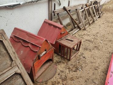 Yuvalar: It yuvasi bir ededi 20 az -da lalafo.az — 8 Yuvalar: It yuvasi bir ededi 20 az — 8