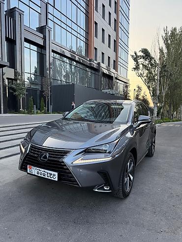 Lexus: Lexus NX: 2020 г., 2.5 л, Автомат, Гибрид, Кроссовер — 3