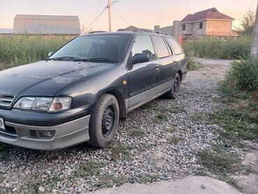 runx alex: Nissan Primera: 1999 г., 1.8 л, Автоматтык, Бензин, Универсал