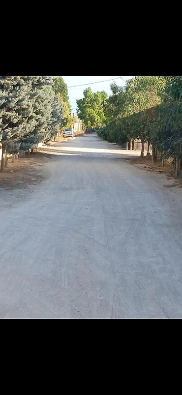 bartee: 10 sot, Tikinti, Mülkiyyətçi — 4