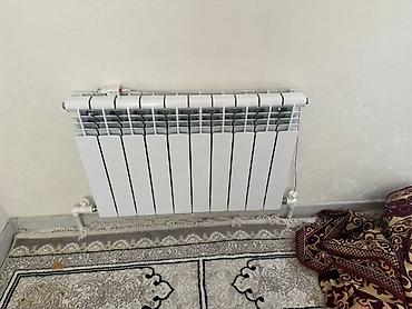 Покраска: Больше 6 лет опыта — 1