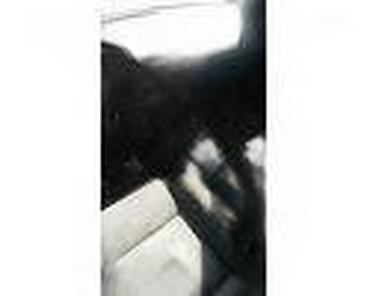 Nebo automobila: SVI MODELI FORDOVIH DELOVA ZA FORD C-MAX OD 2000. DO 2010. GOD. | na lalafo.rs — 19 Nebo automobila: SVI MODELI FORDOVIH DELOVA ZA FORD C-MAX OD 2000. DO 2010. GOD. | — 19