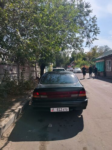 продаю сефиро: Nissan Maxima: 1995 г., 2 л, Механика, Бензин, Седан