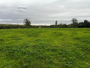 sabirabad ev satışı: 4 otaqlı, 192 kv. m, Kredit yoxdur, Orta təmir — 10