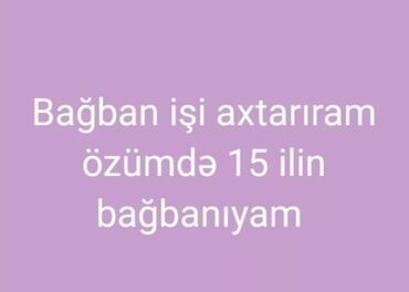 bravo market vakansiya muhafize 2023: Salam bağ işi axdaram 39 yaşım var sakit insanam subayam bağ işnə