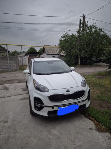 smart автомобиль: Kia Sportage: 2020 г., 2.4 л, Автомат, Бензин