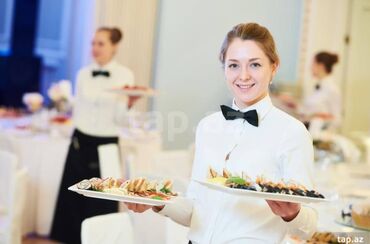 çinar restoran gəncə: Официант требуется, Ежедневно оплата, 18-29 лет, До 1 года опыта