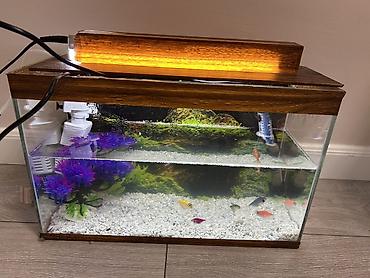 Akvariumlar: Akvaryum dəsti – şüşə korpus və taxta görünümlü üst örtük ilə - Ölçü — 2