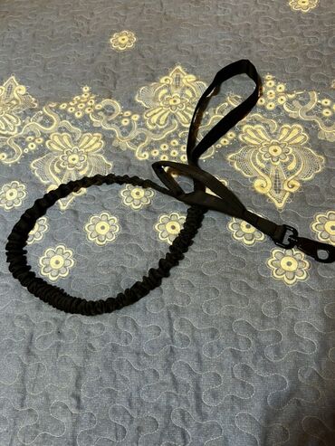 Xaltalar, qayışlar və tasmalar: İt aksesuarları dəsti, tek tek qiymetler qeyd edilib endirim yoxdur — 4