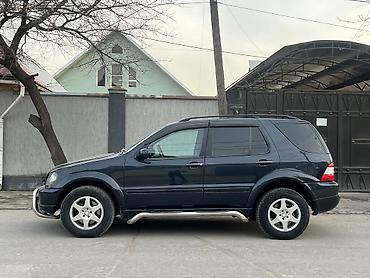 Mercedes-Benz: Mercedes-Benz ML-Class: 2002 г., 4 л, Автомат, Дизель, Кроссовер — 2