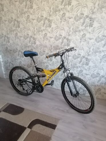 velosibetler: Velosiped, yaxsi veziyyetde