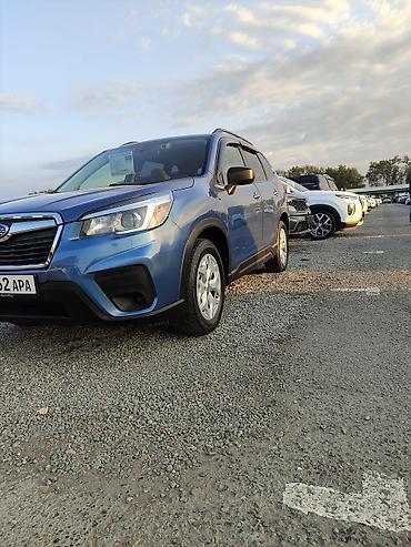 Продажа авто: Subaru Forester: 2019 г., 2.5 л, Вариатор, Бензин, Кроссовер — 2