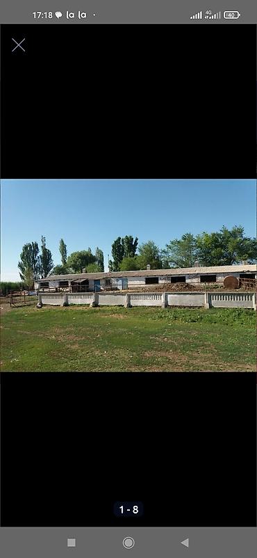 Продажа другой коммерческой недвижимости: Срочно продается кошара.( в 7 км от трасы Бишкек Кара- Балта ) 40 — 10