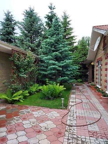 Продажа квартир: 4 комнаты, 130 м² — 26