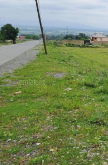 Torpaq: Qax rayonu qasqacay kendinde 12 sot torpaq satilir cixarisli ve 3 sot — 2