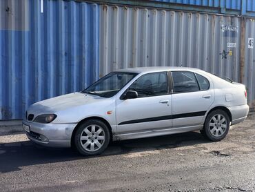 ниссан сефиро 2001: Nissan Primera: 2000 г., 2 л, Вариатор, Бензин, Седан